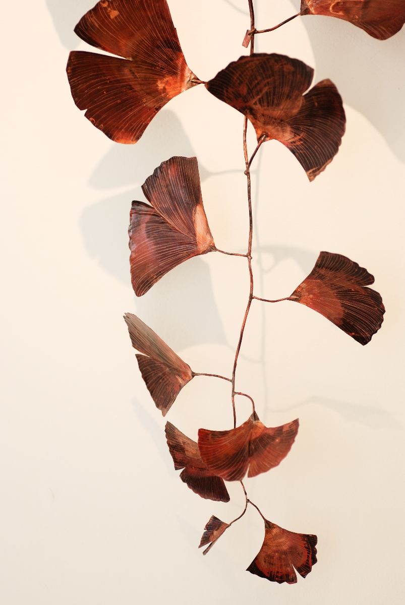 Ginkgo 11
